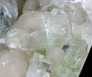 Zoned Apophyllite Crystals on Stilbite Association - India #44448-4